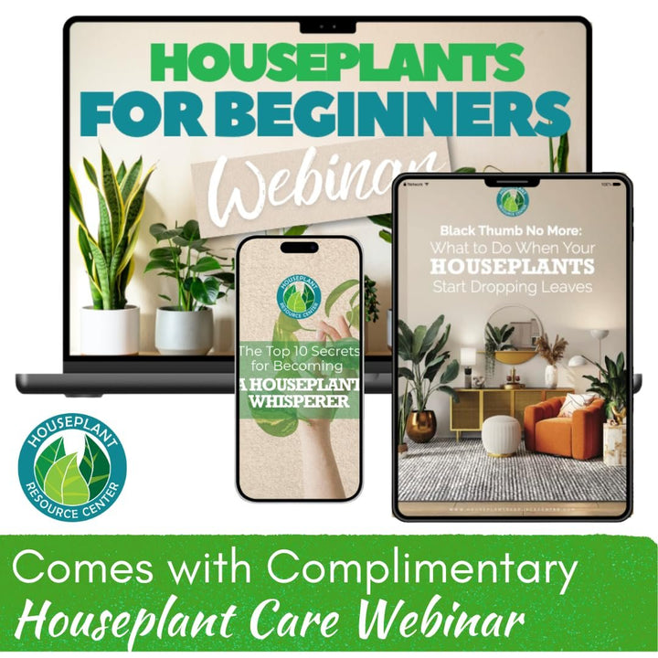 Philodendron Plant Food – Enriched, Bioavailable Liquid Fertilizer | 8 oz