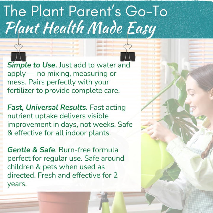 Root Rot Repair - Recovery Drops Supplement | 8 oz