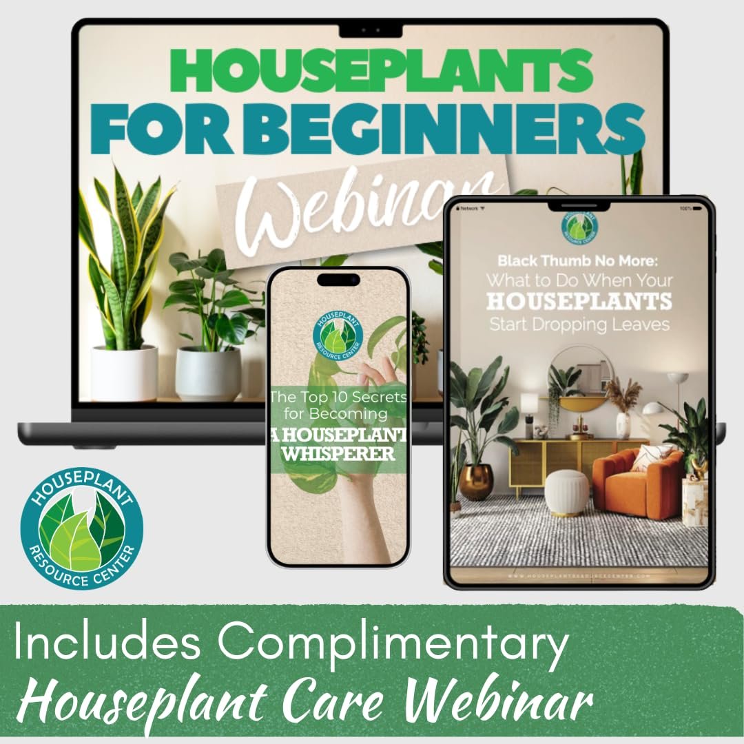 Pothos Plant Food – Enriched, Bioavailable Liquid Fertilizer | 8 oz