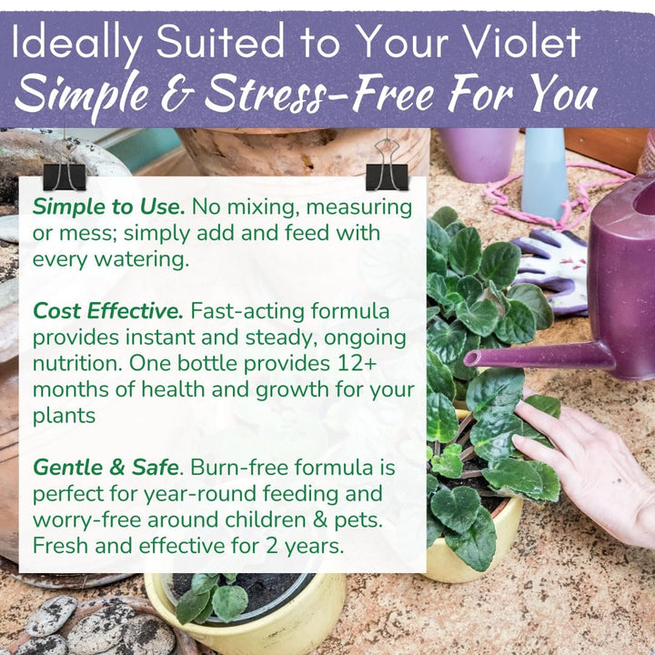 African Violet Plant Food by Houseplant Resource Center | Liquid Fertilizer for Vibrant Blooms & Healthy Growth, Easy-to-Use (8 Fluid Ounces)