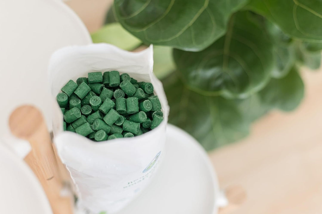 Smart Gravel Drainage Rocks for Potted Plants — Eco-Friendly Overwatering Solution | 2 lbs