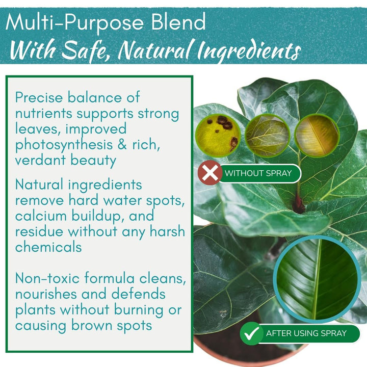 Leaf Shine Spray – Natural Leaf Polish, Gloss, and Shine | 8 oz