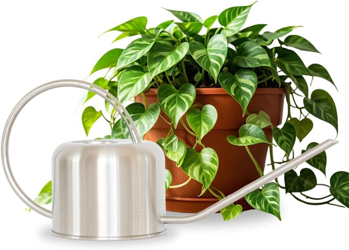 Stainless Steel Watering Can for Houseplants | 1L Capacity