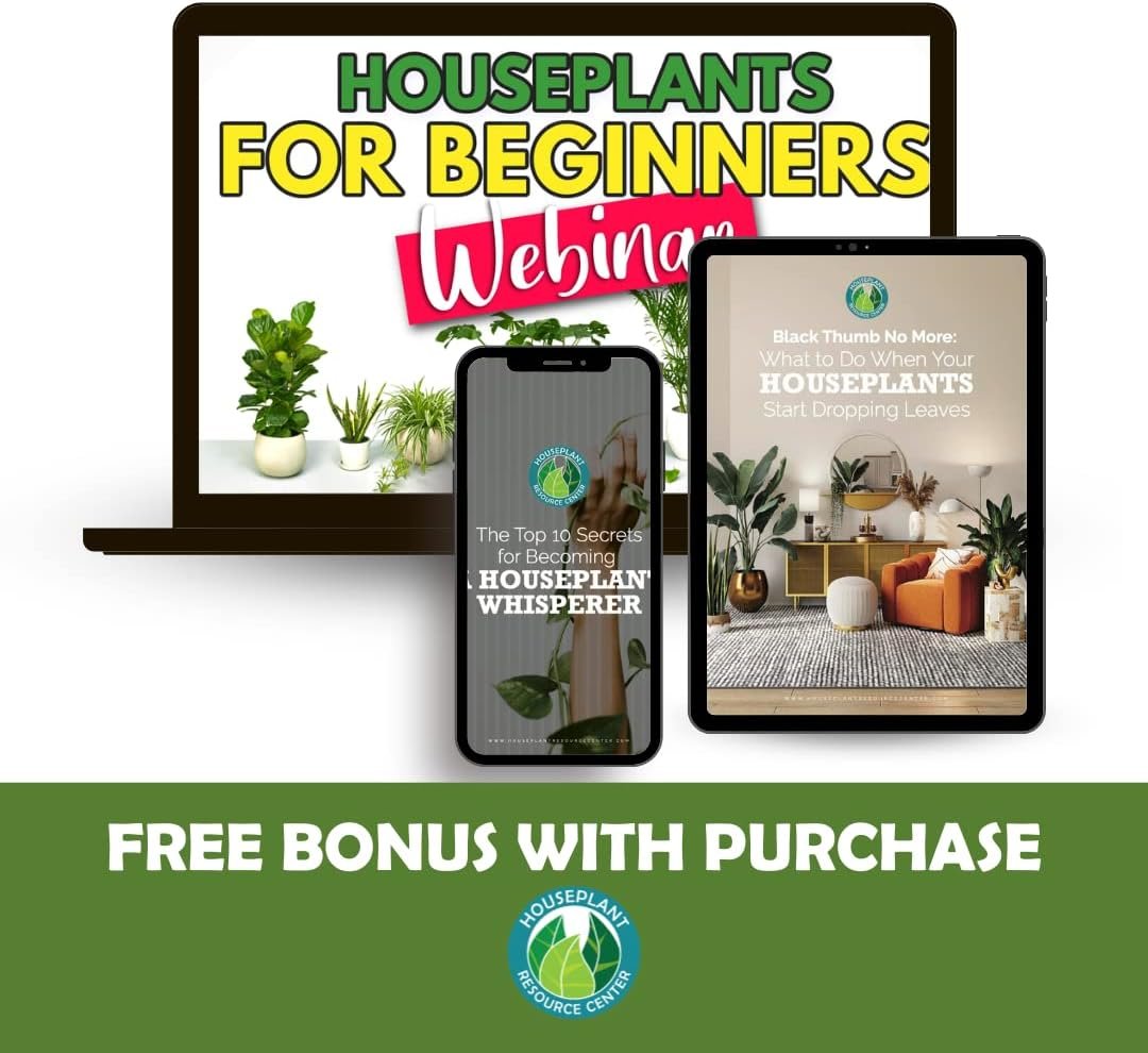 Stainless Steel Watering Can for Houseplants | 1L Capacity