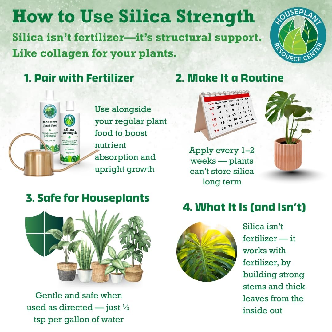 Silica Strength – Liquid Potassium Silica (4.5%) Concentrate | 8 oz