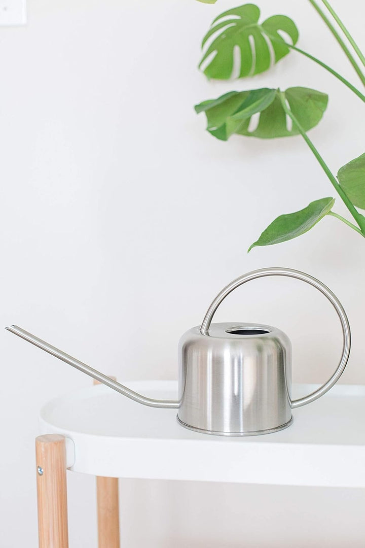 Stainless Steel Watering Can for Houseplants | 1L Capacity