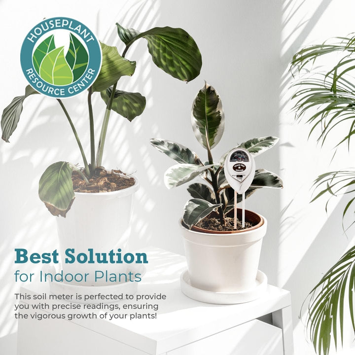 Houseplant 3-in-1 Soil Meter — Measures Light, Moisture & pH for Optimal Growth | Battery-Free