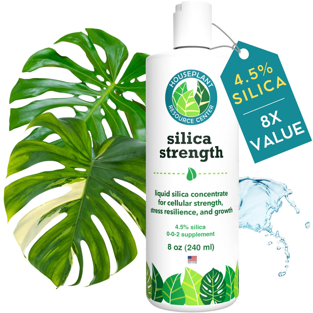 Silica Strength – Liquid Silica Supplement (4.5% Potassium Silicate) for Houseplants | Builds Stronger Stems, Healthier Leaves & Stress Resilience | 8 oz Concentrate Makes 96 Gallons