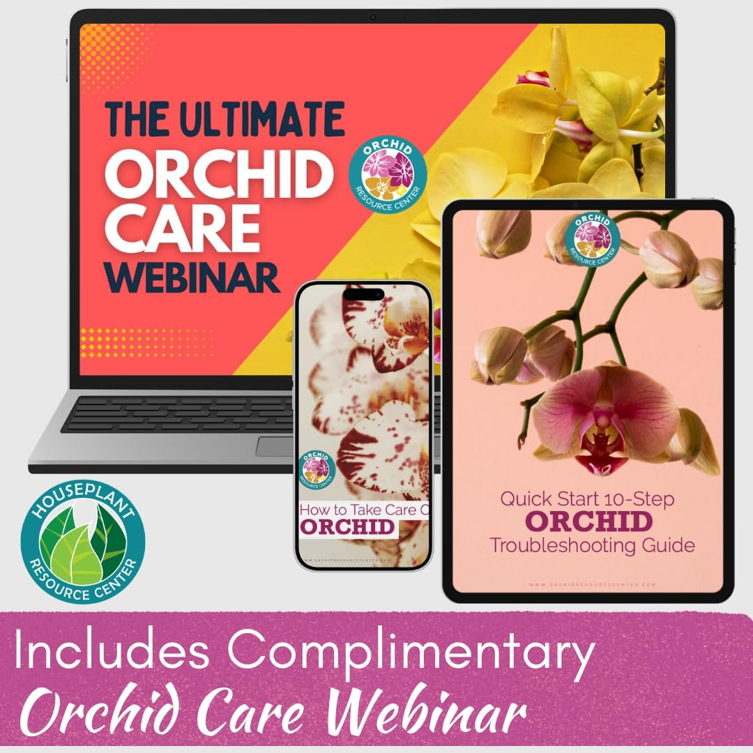 Orchid Food Spray – Enriched, Bioavailable Fertilizer Mist | 8 oz