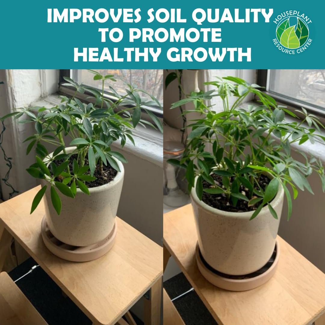 Organic Houseplant Probiotic Powder & Soil Conditioner | 4 oz