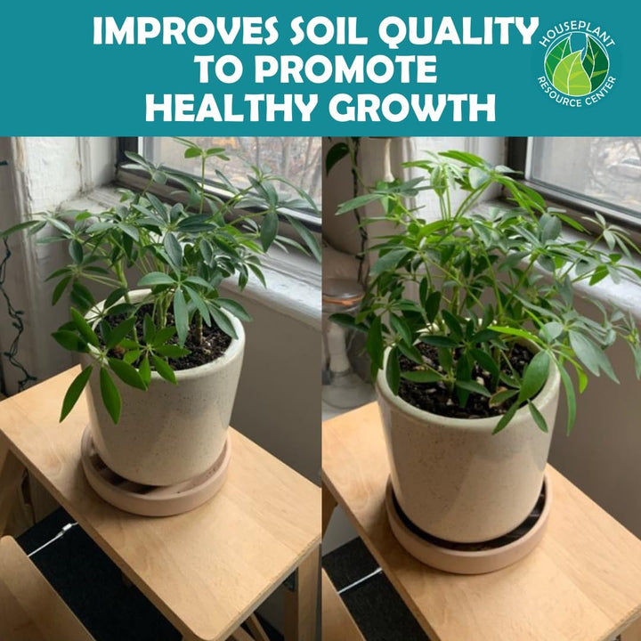 Organic Houseplant Probiotic Powder & Soil Conditioner | 4 oz