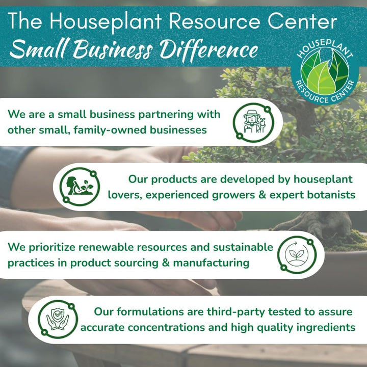 100% Organic Bonsai, Succulent, Cactus Soil Mix — Nutrient Rich, Well-Draining Living Soil Blend | 6.55 quarts