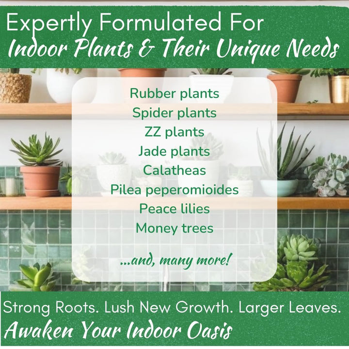 Indoor Plant Food - Versatile, Bioavailable Liquid Fertilizer | 8 oz