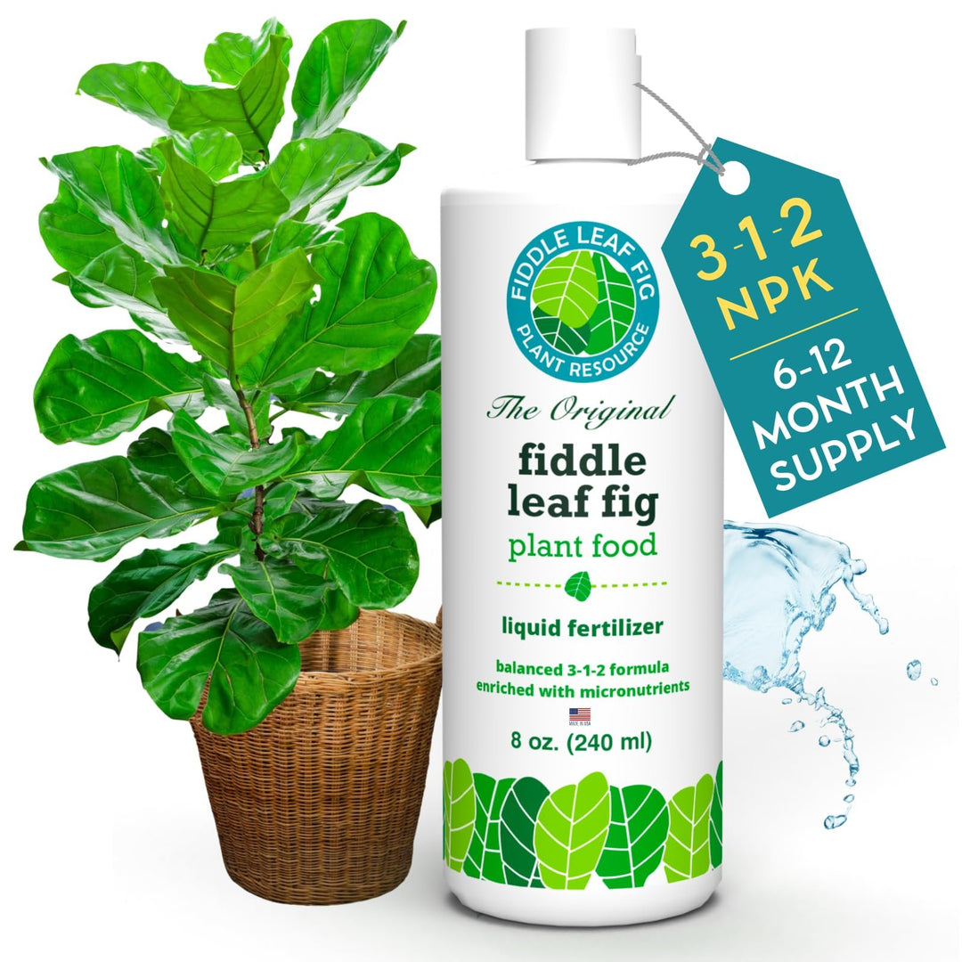 Fiddle Leaf Fig Plant Food – 3‑1‑2 Balanced NPK Liquid Fertilizer for Larger Leaves, Stronger Roots & Steady, Vibrant Growth | Suitable for All Ficus Including Ficus Lyrata | Made in USA | 8 oz