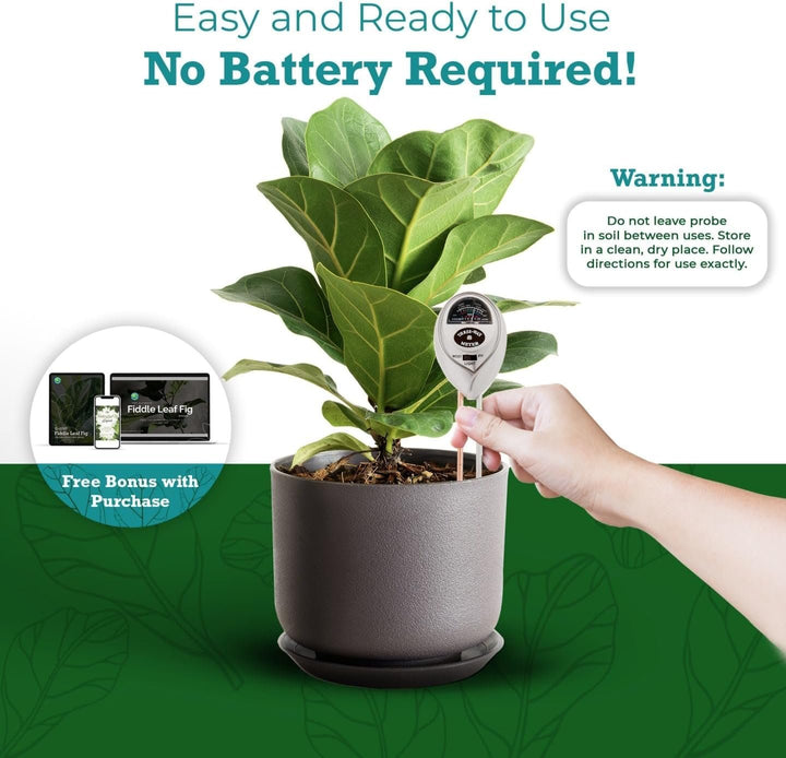Fiddle Leaf Fig 3-in-1 Soil Meter — Measures Light, Moisture & pH for Optimal Growth | Battery-Free