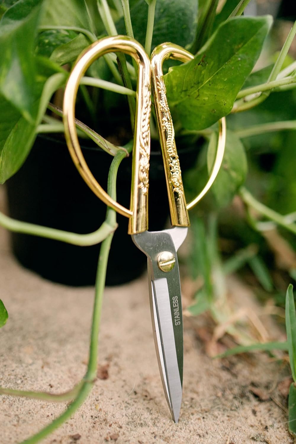 Premium Houseplant Scissors & Pruning Shears — Rust Resistant, Stainless Steel, Ultra-Precise