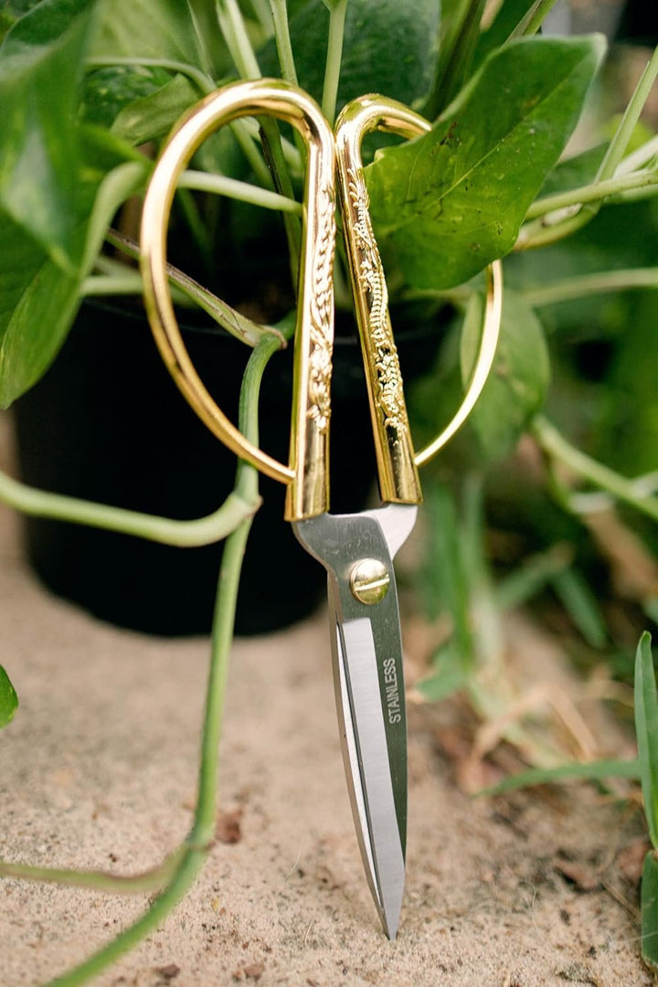 Premium Houseplant Scissors & Pruning Shears — Rust Resistant, Stainless Steel, Ultra-Precise