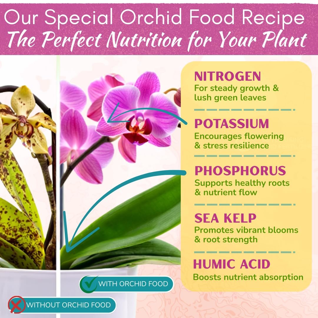 Orchid Food Spray – Enriched, Bioavailable Fertilizer Mist | 8 oz