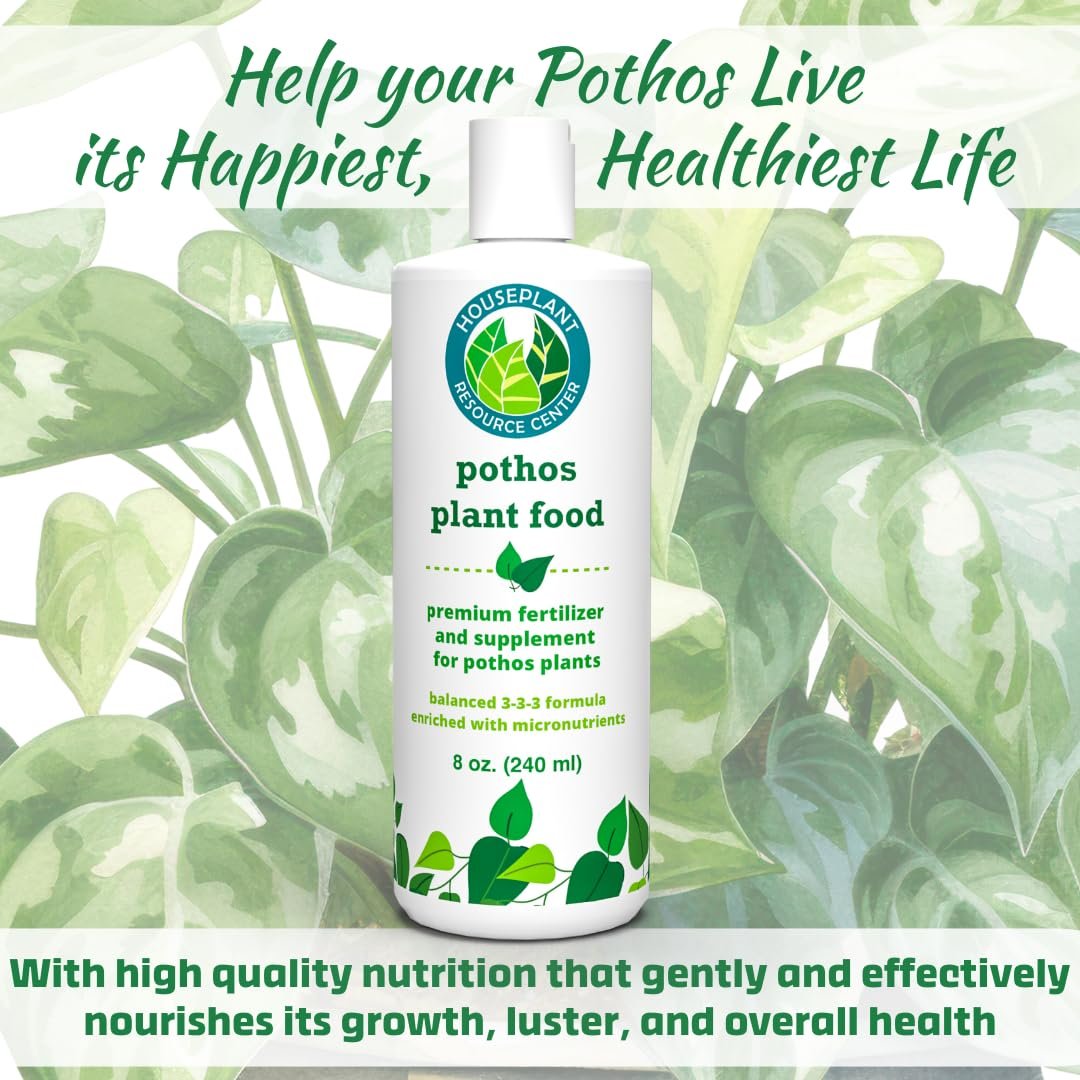 Pothos Plant Food – Enriched, Bioavailable Liquid Fertilizer | 8 oz