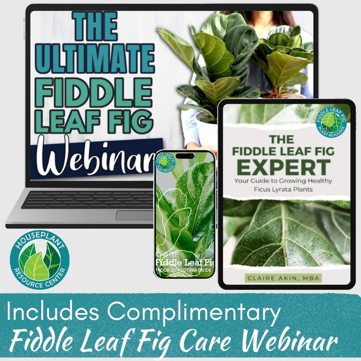 Fiddle Leaf Fig 3-in-1 Soil Meter — Measures Light, Moisture & pH for Optimal Growth | Battery-Free