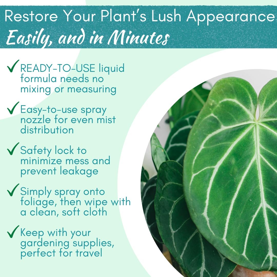 Leaf Shine Spray – Natural Leaf Polish, Gloss, and Shine | 8 oz