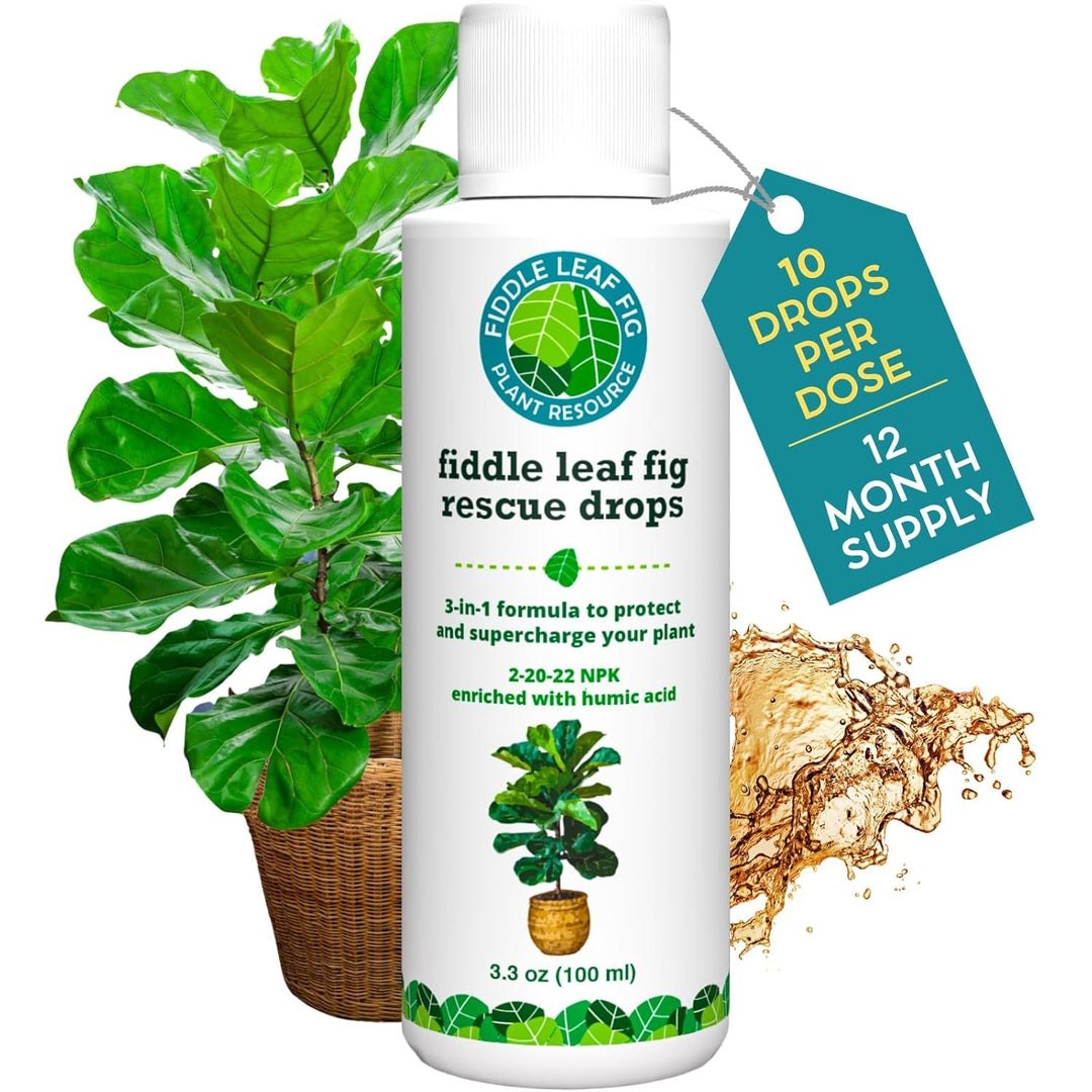Fiddle Leaf Fig Rescue Drops — Powerful Immunity Boosting Formula | 3.3 oz