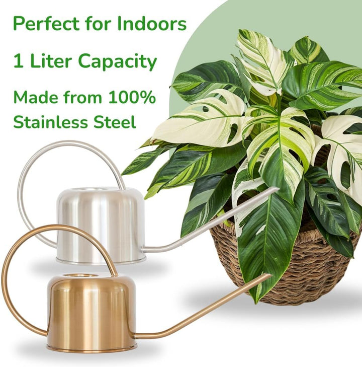 Stainless Steel Watering Can for Houseplants | 1L Capacity