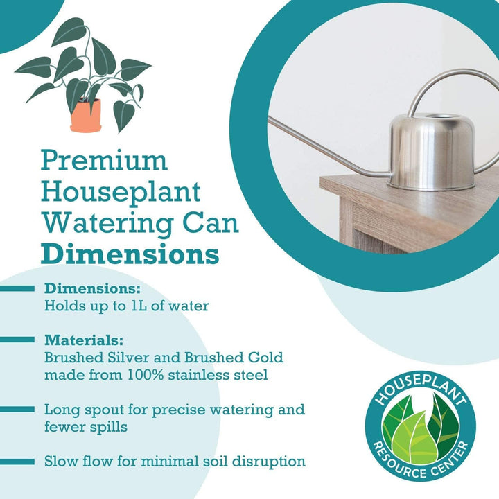 Stainless Steel Watering Can for Houseplants | 1L Capacity