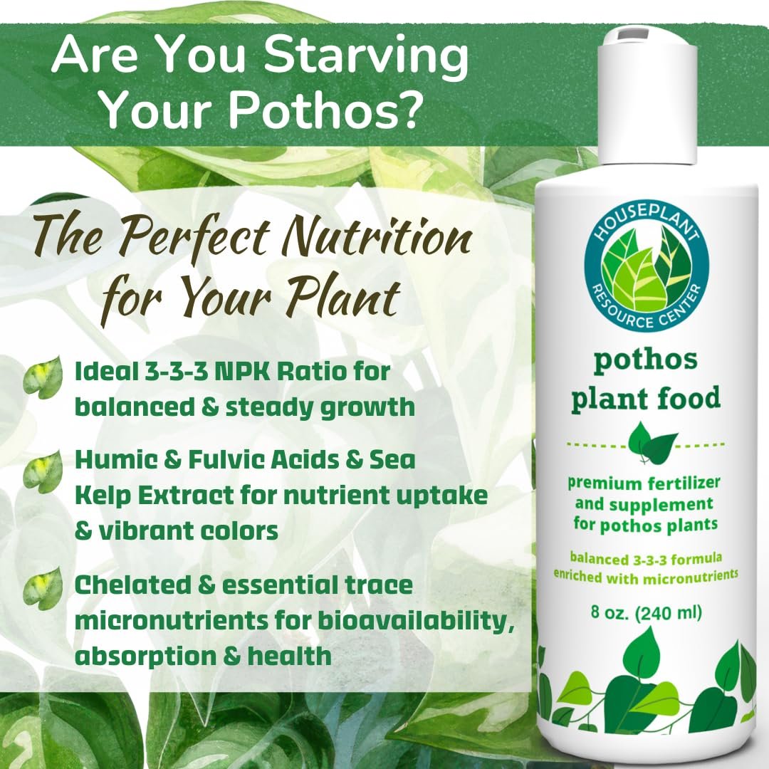 Pothos Plant Food – Enriched, Bioavailable Liquid Fertilizer | 8 oz