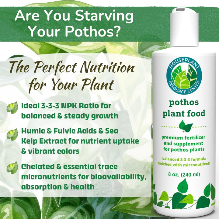 Pothos Plant Food – Enriched, Bioavailable Liquid Fertilizer | 8 oz