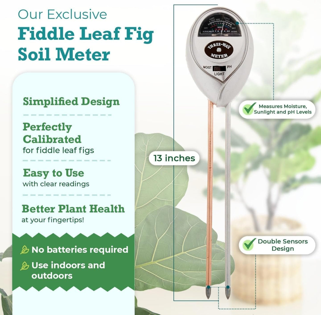 Fiddle Leaf Fig 3-in-1 Soil Meter — Measures Light, Moisture & pH for Optimal Growth | Battery-Free