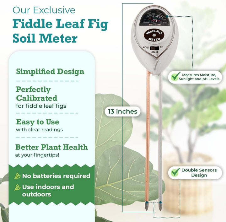 Fiddle Leaf Fig 3-in-1 Soil Meter — Measures Light, Moisture & pH for Optimal Growth | Battery-Free
