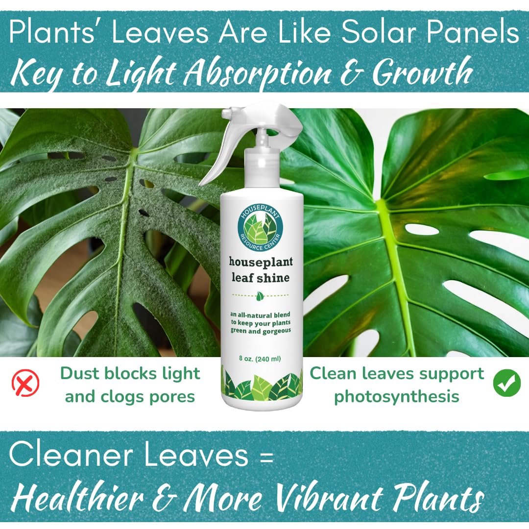 Leaf Shine Spray – Natural Leaf Polish, Gloss, and Shine | 8 oz