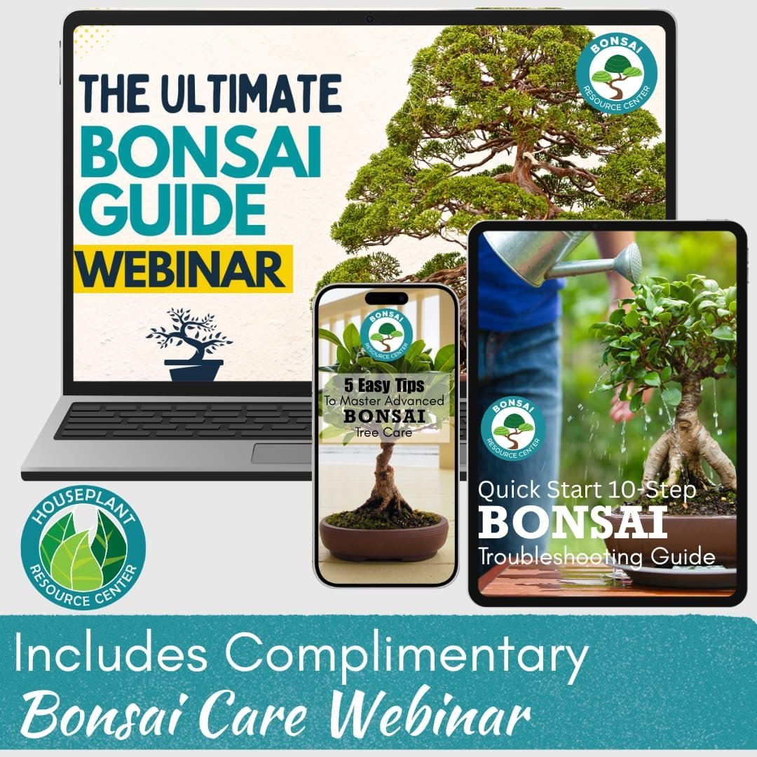 100% Organic Bonsai, Succulent, Cactus Soil Mix — Nutrient Rich, Well-Draining Living Soil Blend | 6.55 quarts