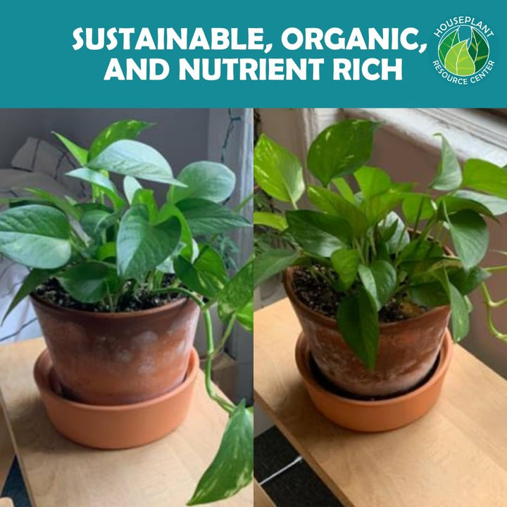 Organic Houseplant Probiotic Powder & Soil Conditioner | 4 oz