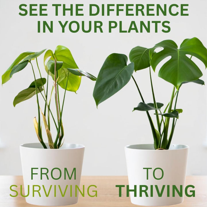 Silica Strength – Liquid Potassium Silica (4.5%) Concentrate | 8 oz