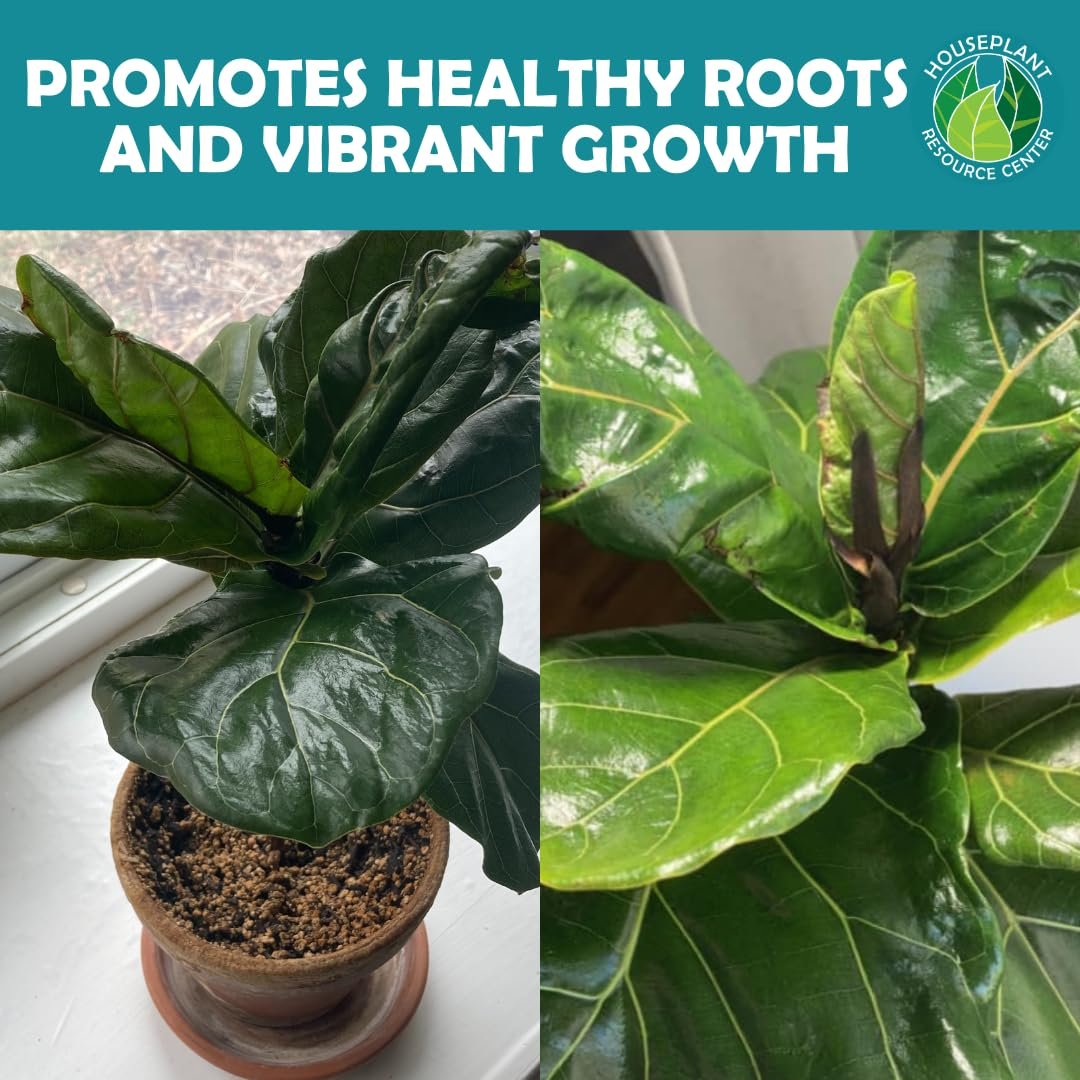 Organic Houseplant Probiotic Powder & Soil Conditioner | 4 oz