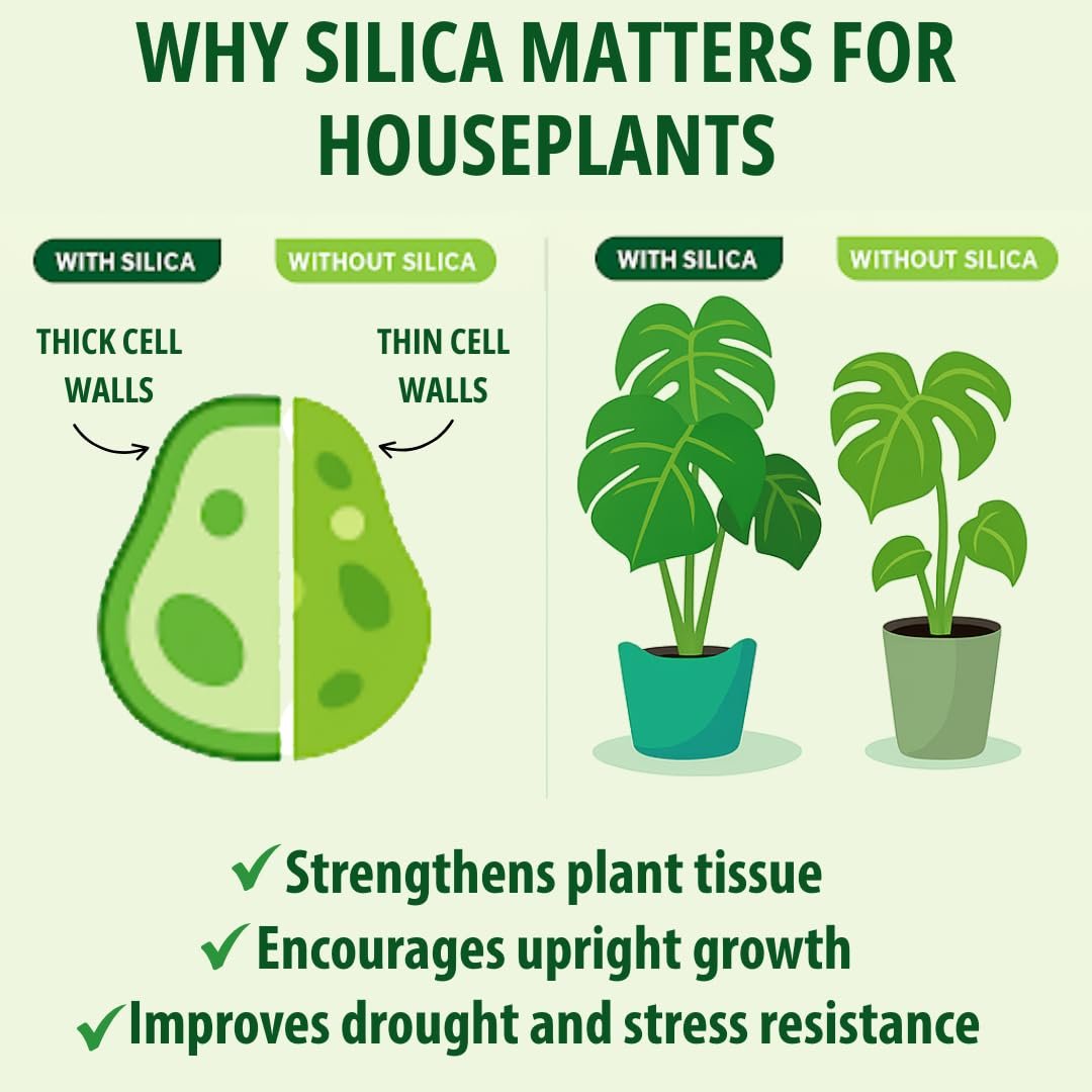 Silica Strength – Liquid Silica Supplement (4.5% Potassium Silicate) for Houseplants | Builds Stronger Stems, Healthier Leaves & Stress Resilience | 8 oz Concentrate Makes 96 Gallons
