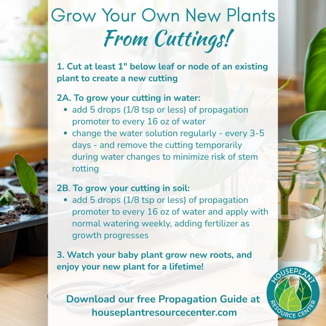 Houseplant Prop Drops – Propagation Promoter & Root Growth Hormone | 8 oz